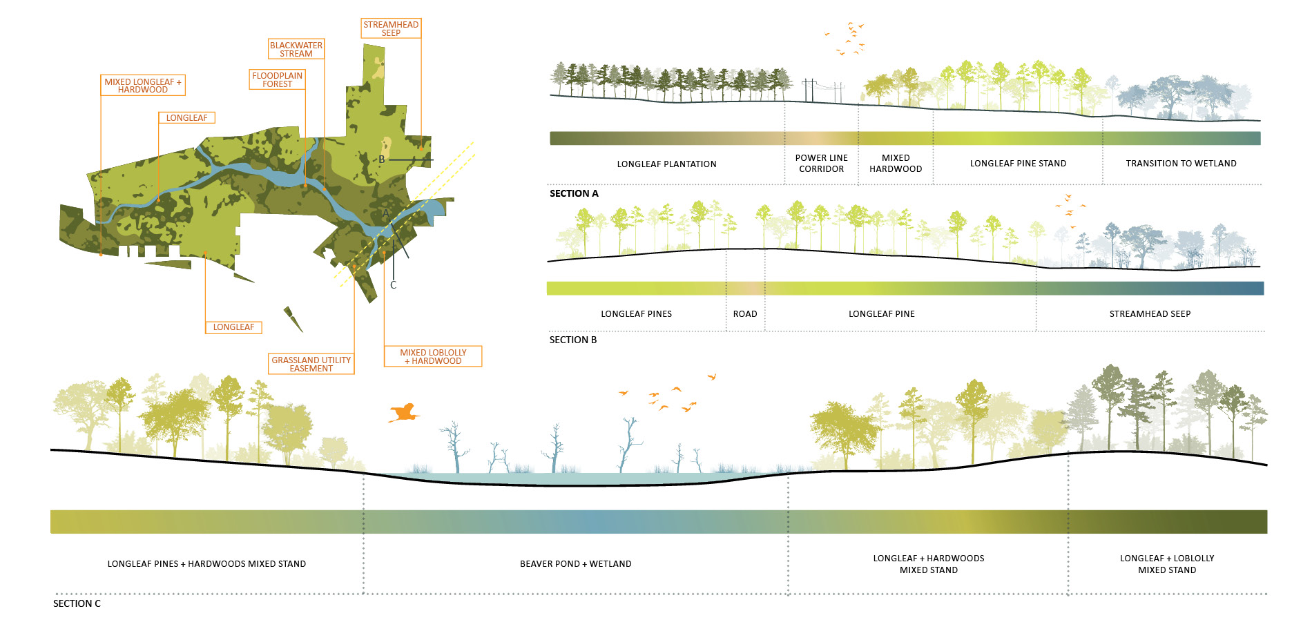 Ecological Communities and Site Characteristics