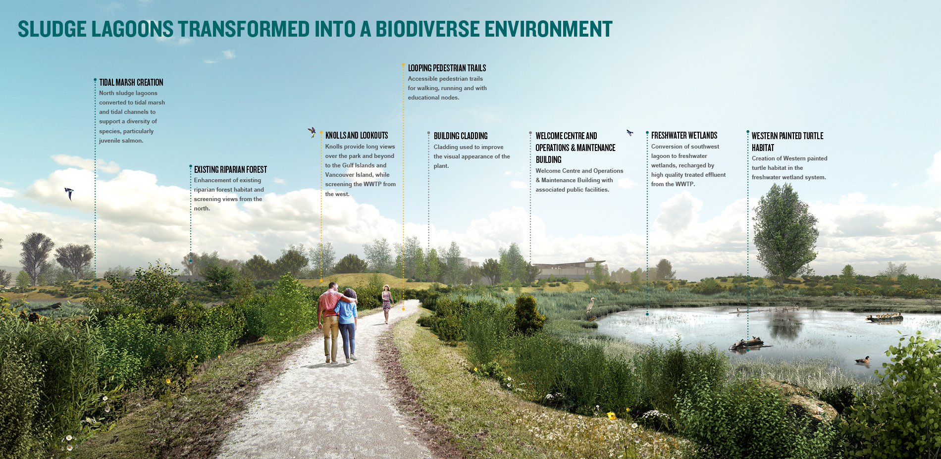 Sludge Lagoons Transformed into a Biodiverse Environment