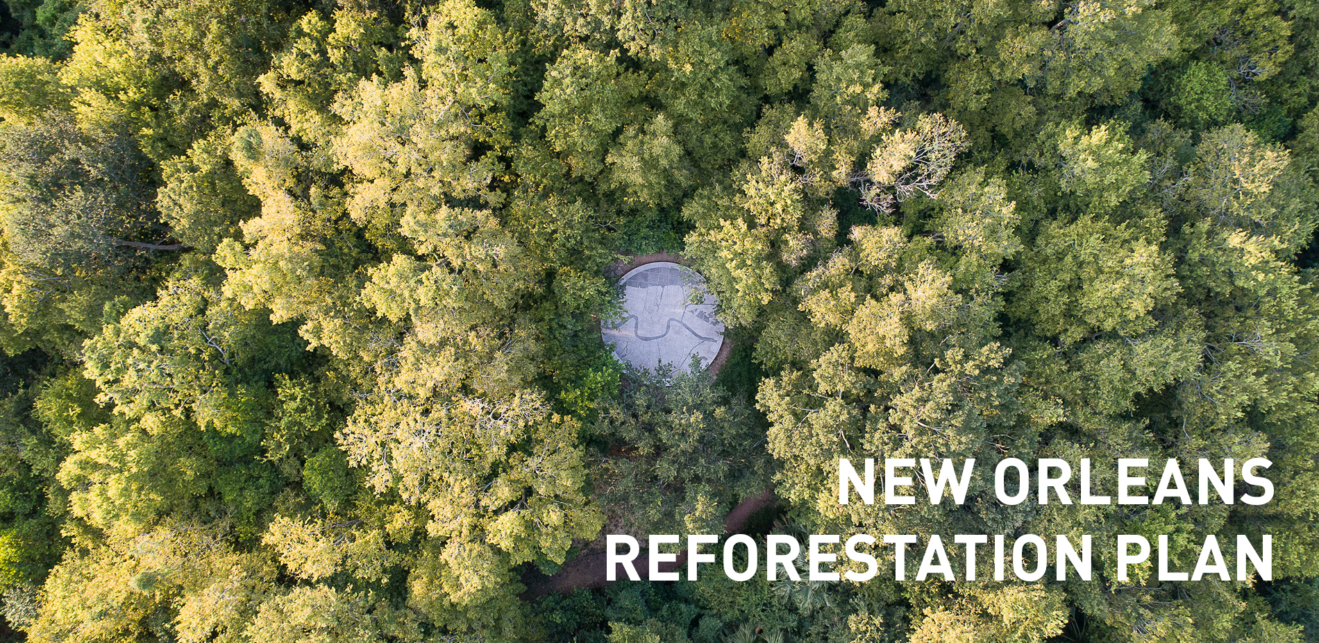 The New Orleans Reforestation Plan: Equity in the Urban Forest