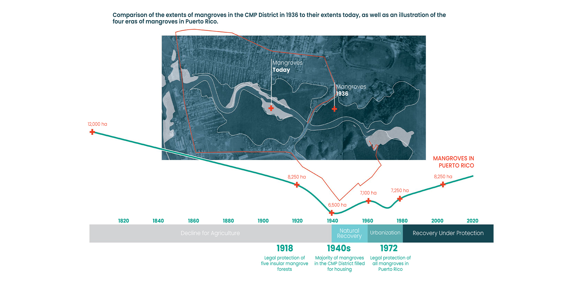 Disappearance of Mangroves in Puerto Rico and the Caño Martín Peña District Over Time