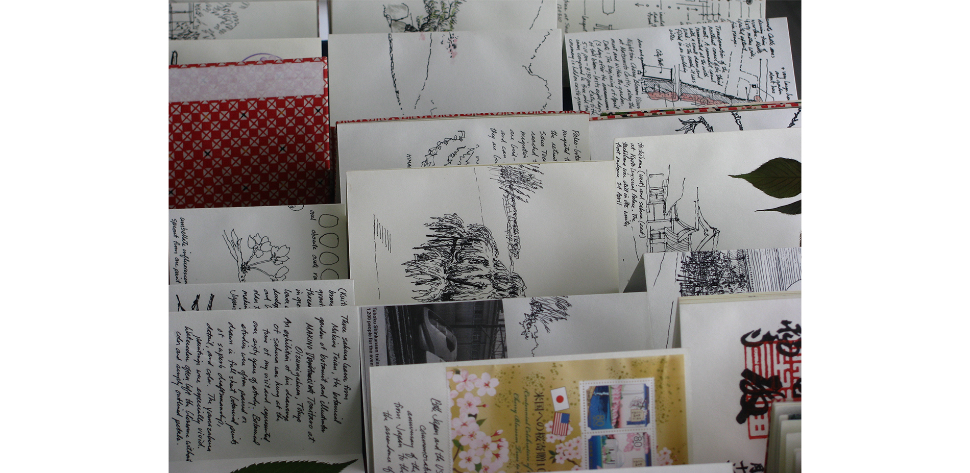 Fifteen orihon sketchbooks were completed during the fellowship to document cherry blossom culture in Japan.