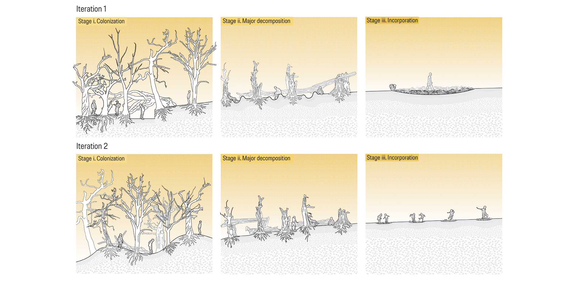 Ideal Sections of Engaging with Decomposition Succession