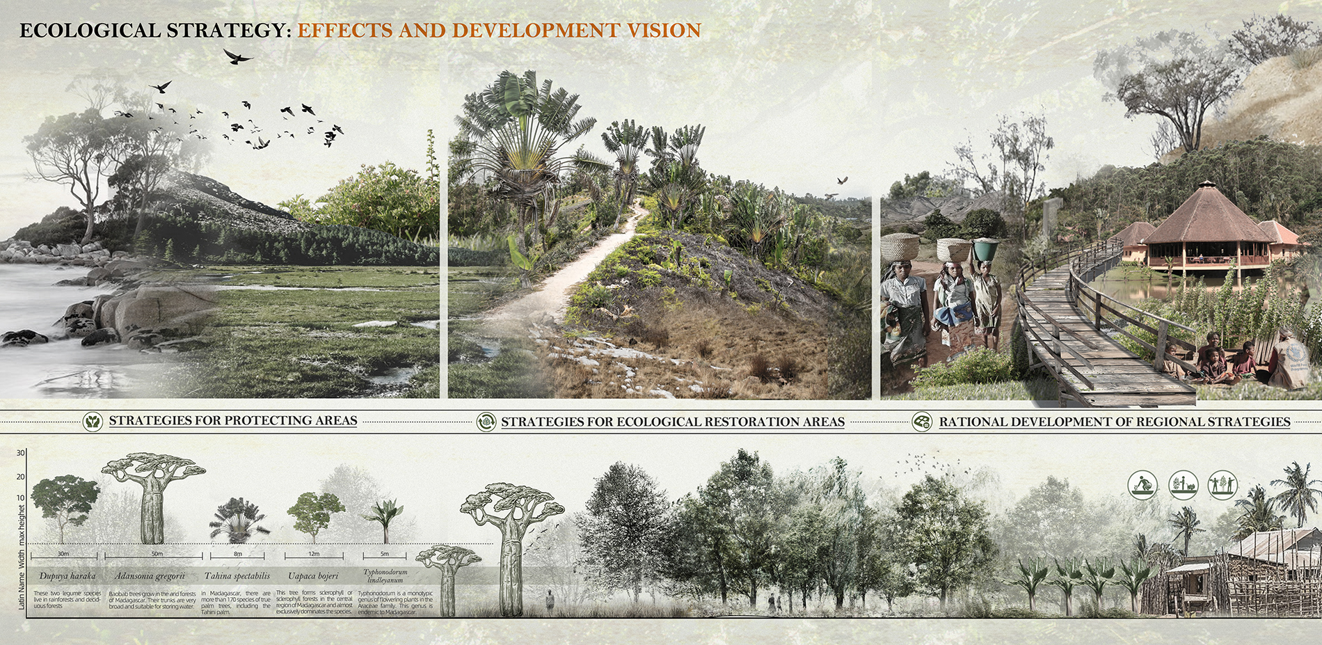 Ecological Strategy: Effects and Development Vision