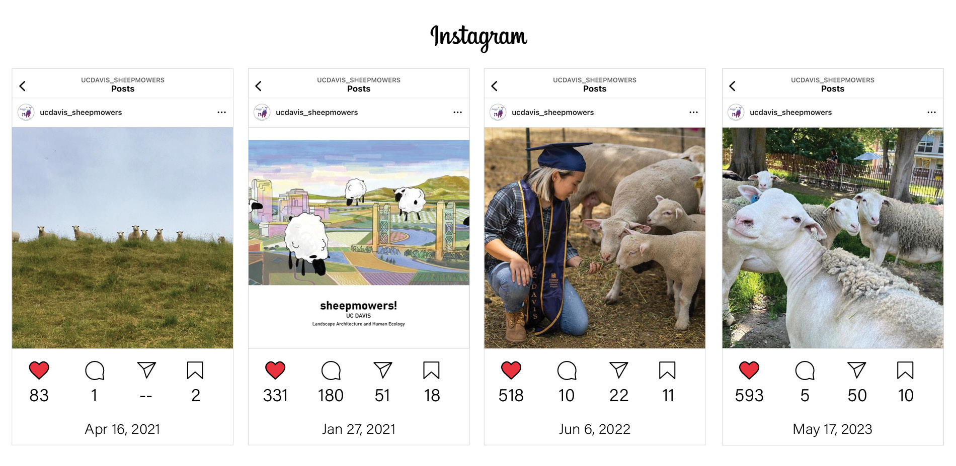 @UCDavis_Sheepmowers - Instagram