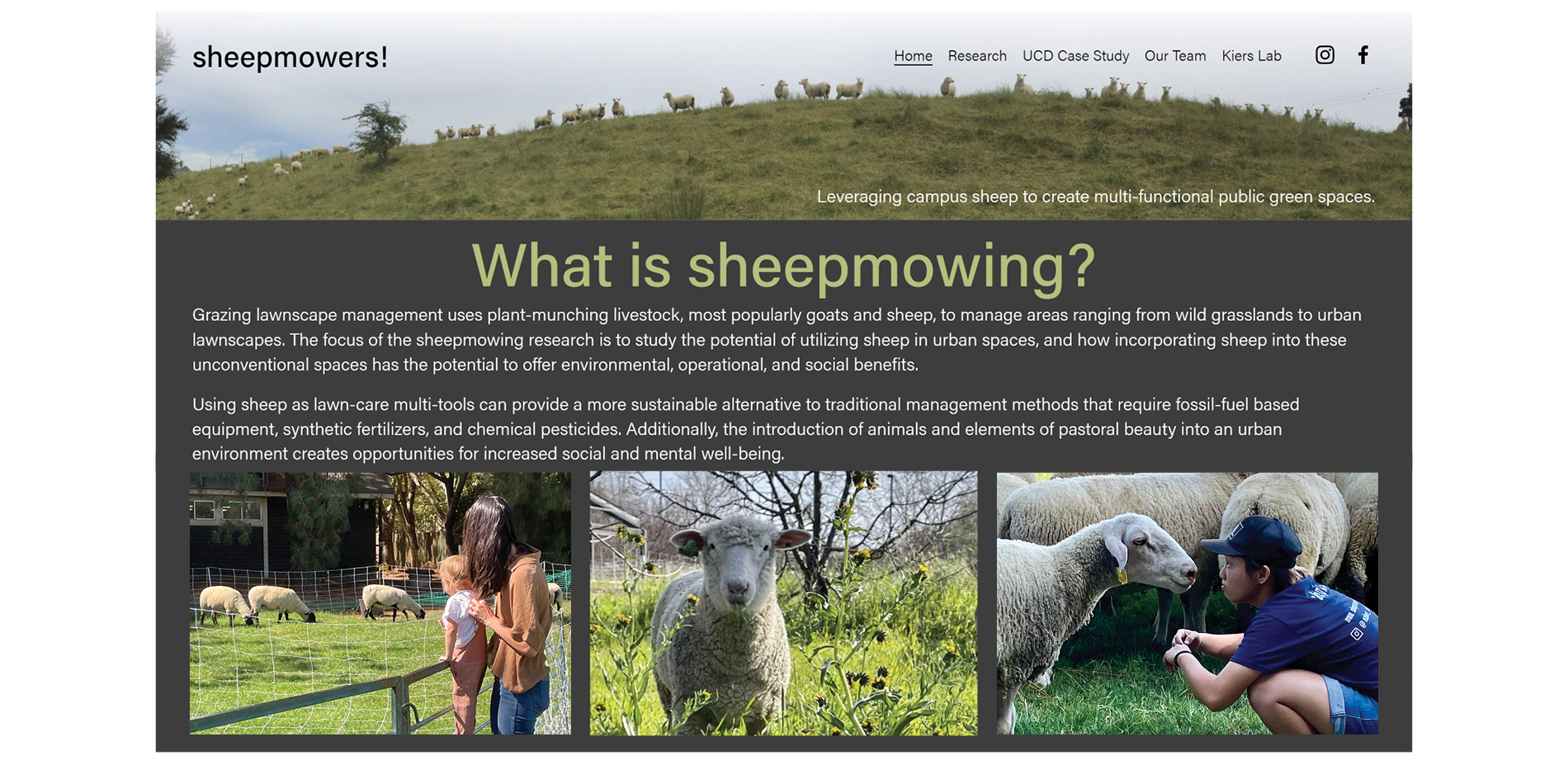 Sheepmowers.org – Website