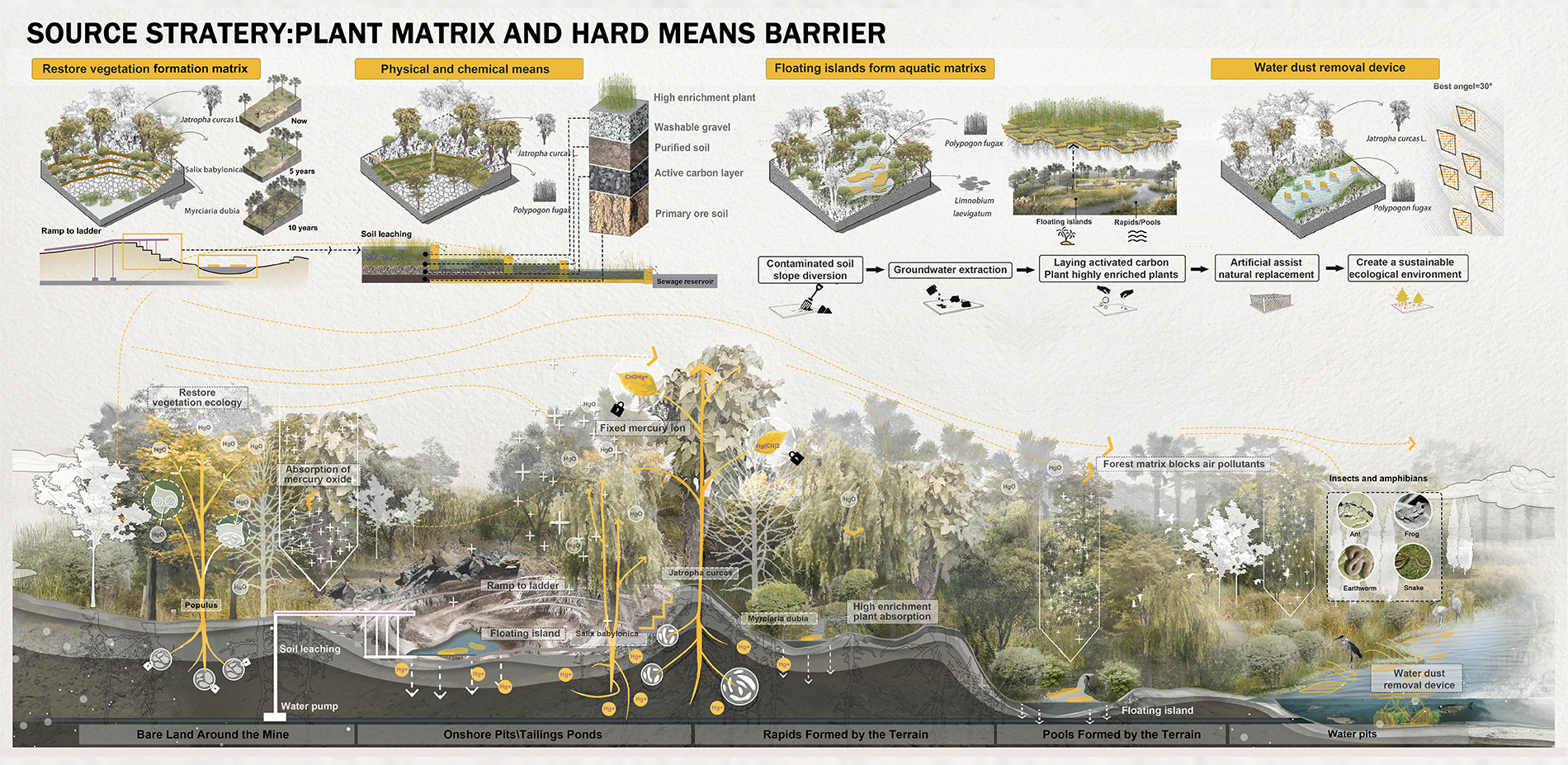 Source strategy: plant matrix and hard means barrier