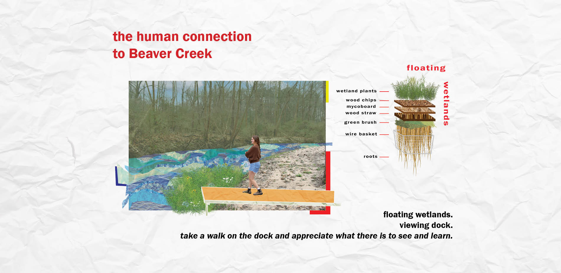 The Human Connection to Beaver Creek