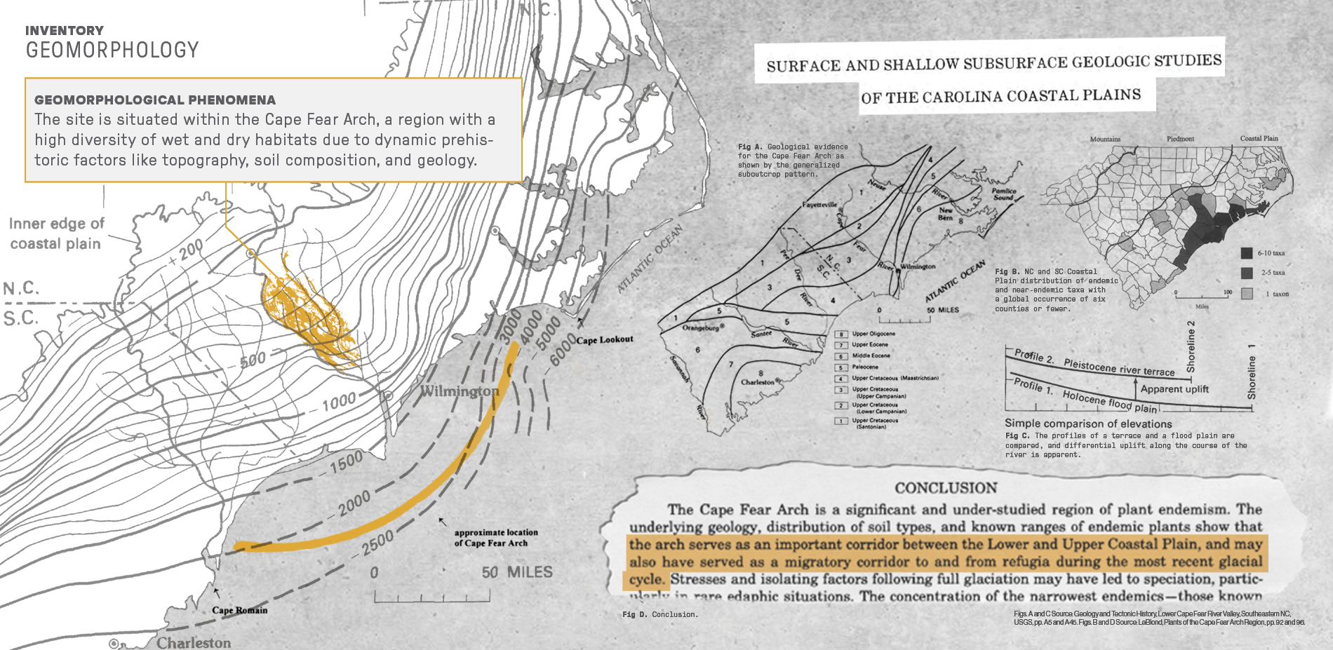 The Cape Fear Arch as Historical Biological Corridor