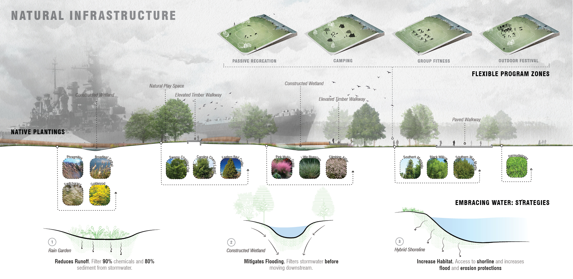 Natural Infrastructure: Focus on Nature-Based Solutions