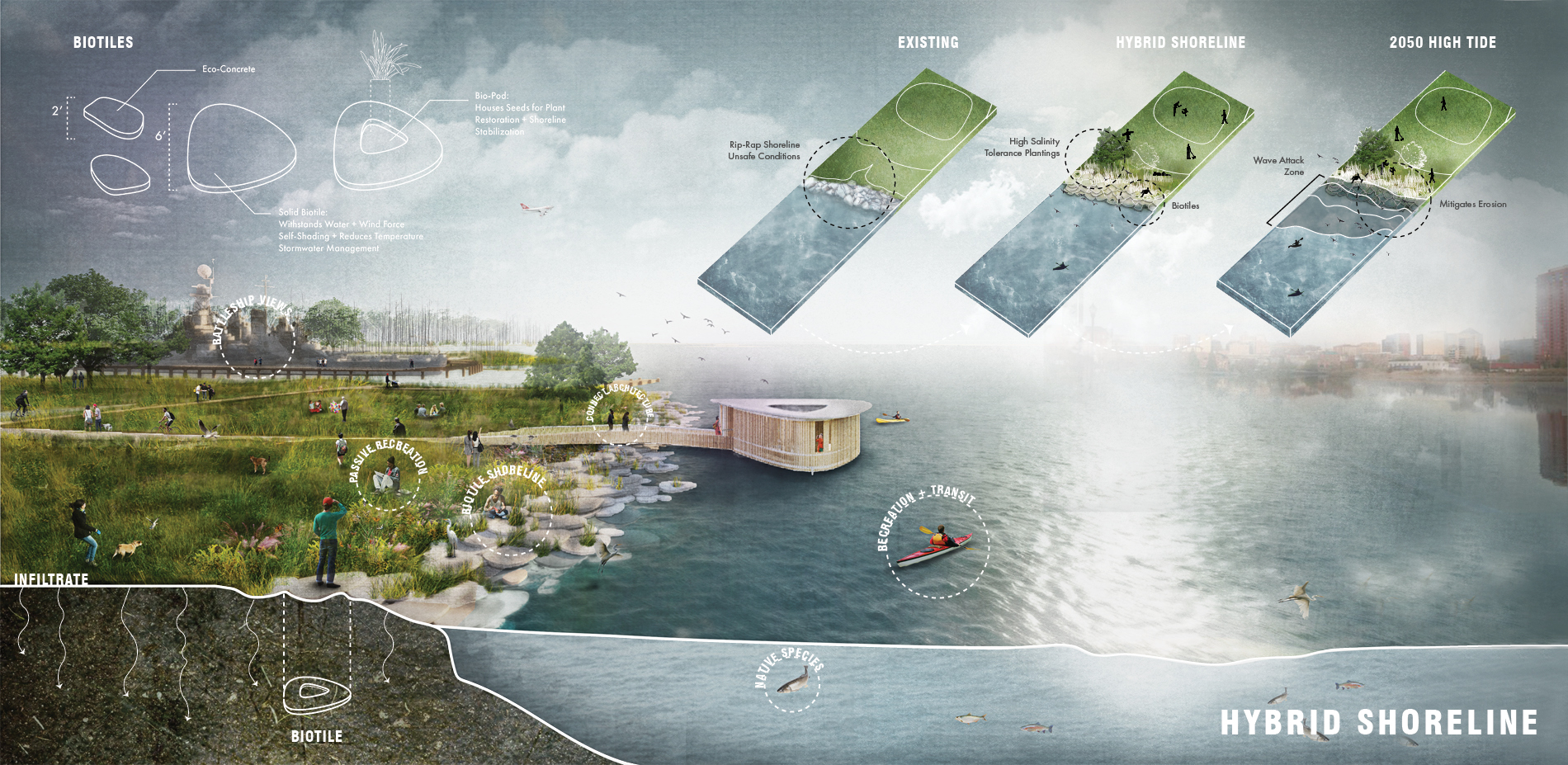 Hybrid Shoreline: Instilling Engagement and Biodiversity