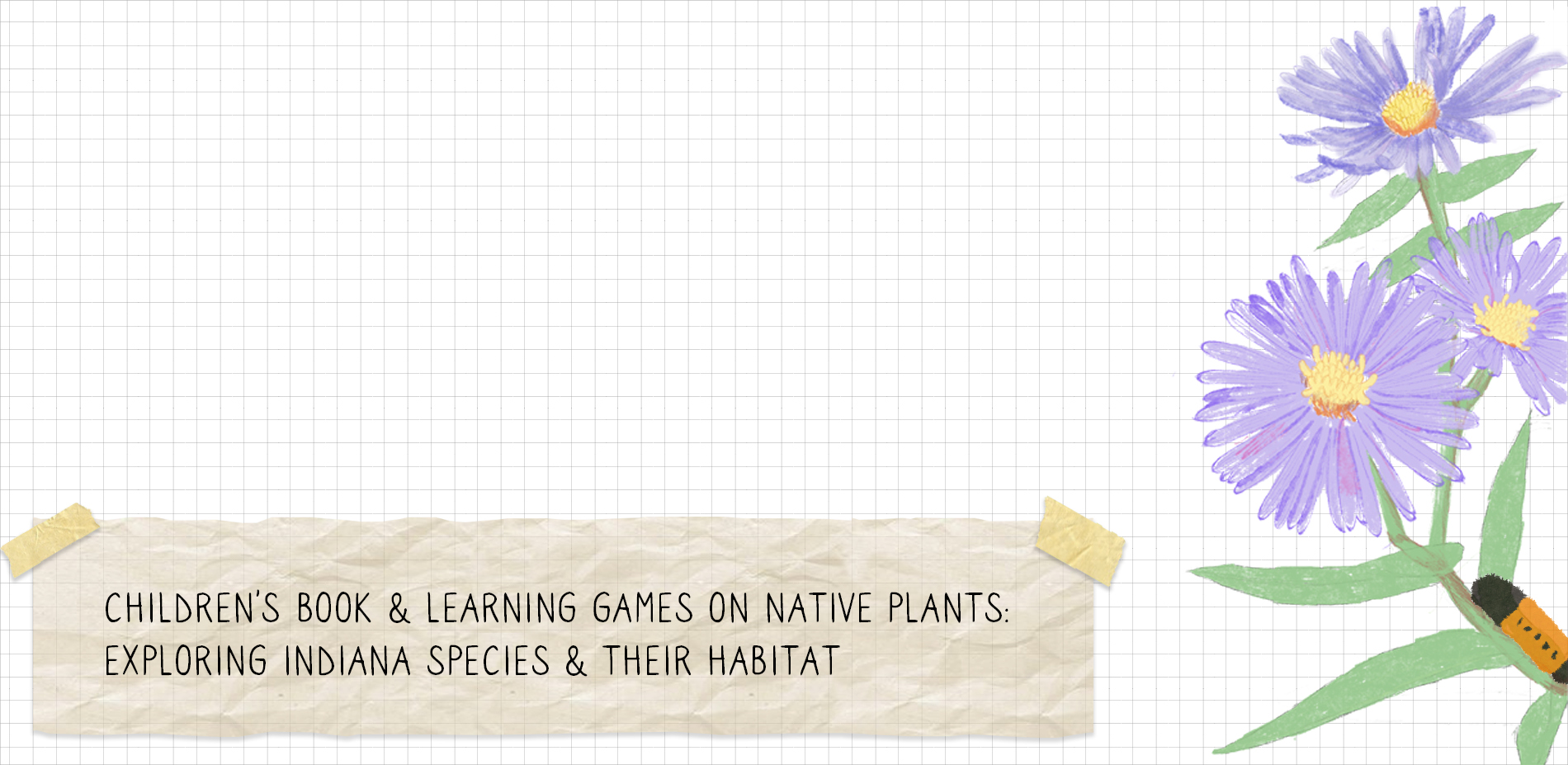 Children's Book & Learning Games on Native Plants