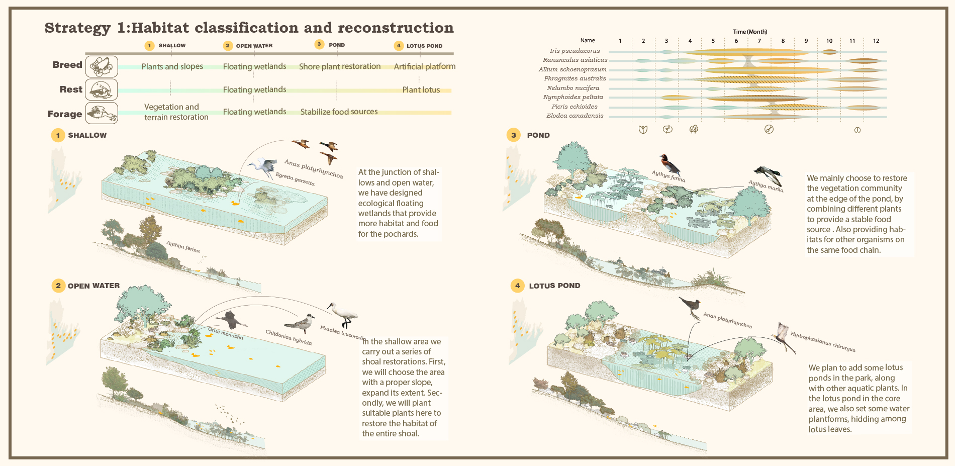 Strategy1: habitat models