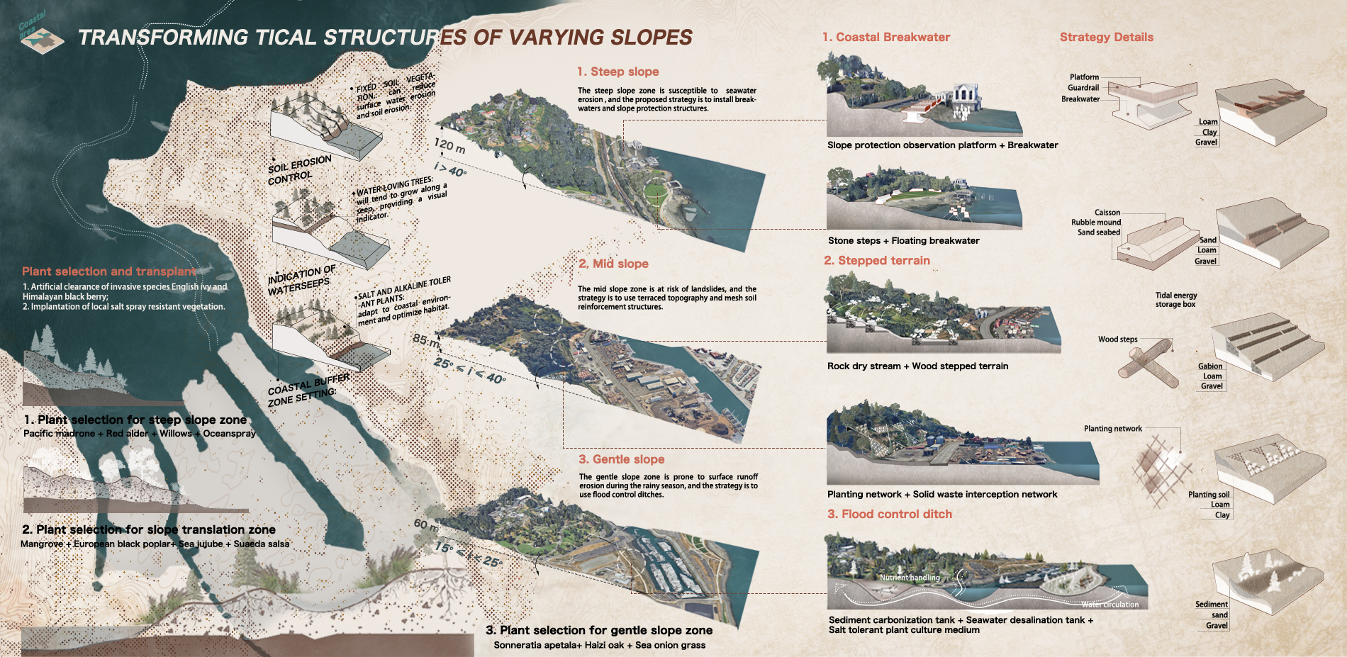 COASTAL AREA: TRANSFORMING TOPOGRAPHICAL STRUCTURES OF VARYING SLOPES